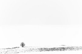 Distance in the Winter Landscape
