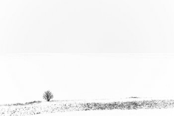 Distanz in der Winterlandschaft