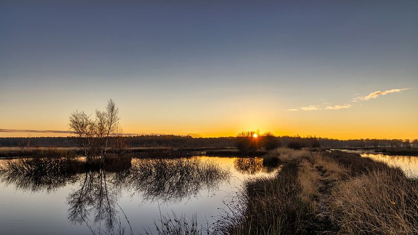 Sunrise at Kraloo by Anneke Hooijer