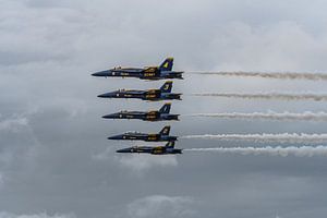 Blaue Engel in der Line Abrest Formation.
