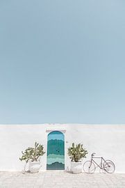 Blue Door Vintage Bike by Photolovers