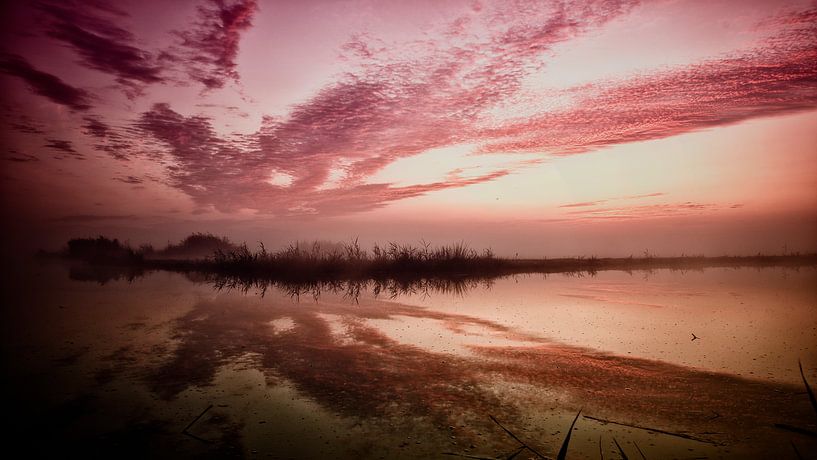 een landschap gevangen in mist op het monent dat de zon op komt van Hans de Waay