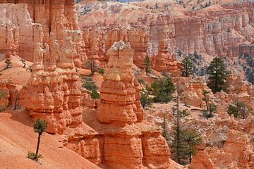 Bryce Canyon sur Antwan Janssen