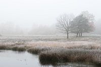 natuurlandschap