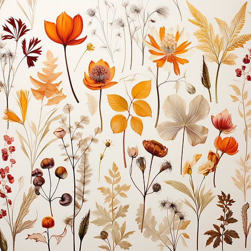 Automne botanique