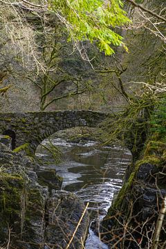 Old stone bridge over a stream in Scotland by Sylvia Photography