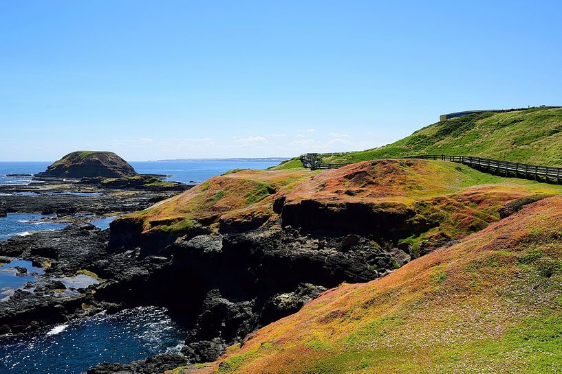 Amazing walk through lichens by Frank's Awesome Travels
