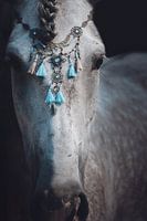 Fine art close up portret paard sieraden blauw