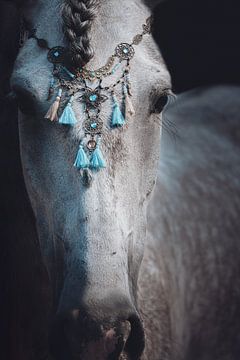 Fine art close up portret paard sieraden blauw van Shirley van Lieshout