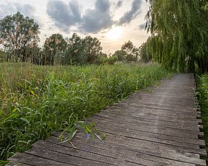 het Serge Berten pad in Menen