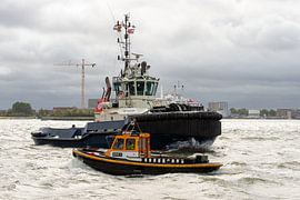 Schlepper und Ruderer sind im Rotterdamer Hafen unverzichtbar von Scheepskijker Havenfotografie