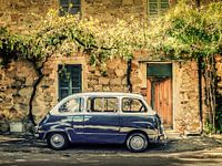 Fiat 600 Multipla in seiner natürlichen Umgebung