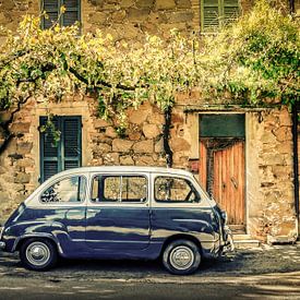 FIAT 600 Multipla  in the wild by juvani photo