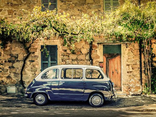 FIAT 600 Multipla  in the wild by juvani photo