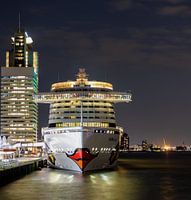A cruise ship docked on the port
