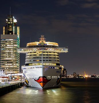 Een cruiseschip aangemeerd in de haven van Manuel Diaz Alonso