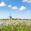 Mühle auf Texel Niederlande von Hilda Weges