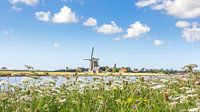 Mühle auf Texel Niederlande von Hilda Weges Miniaturansicht