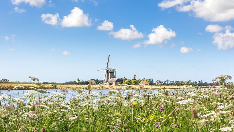 Mühle auf Texel Niederlande von Hilda Weges