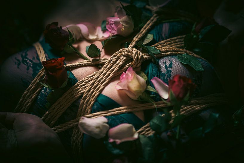Corde et roses par Tycho Müller