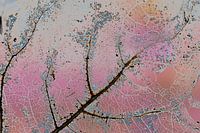 märchenhaftes Magazin