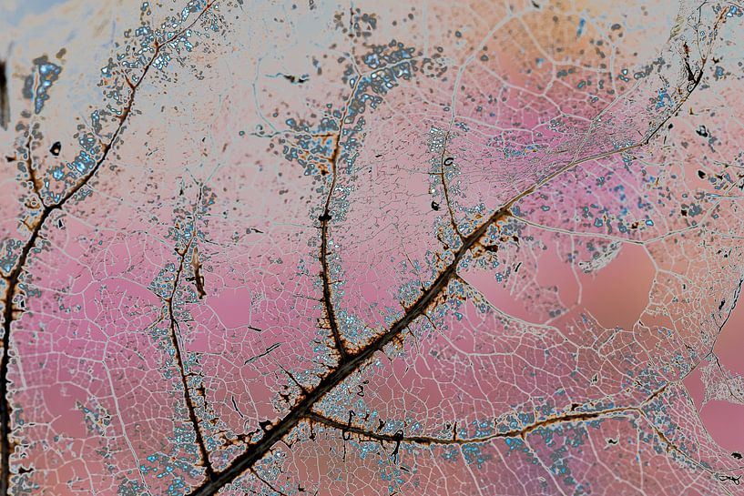 märchenhaftes Magazin von Mel van Schayk