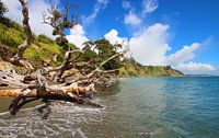 Die neuseeländische Küste von GoWildGoNaturepictures Miniaturansicht