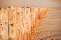 Piles in the sunset