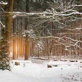 Winter Glow, beautiful sunlight in a winter landscape. by Rob Christiaans