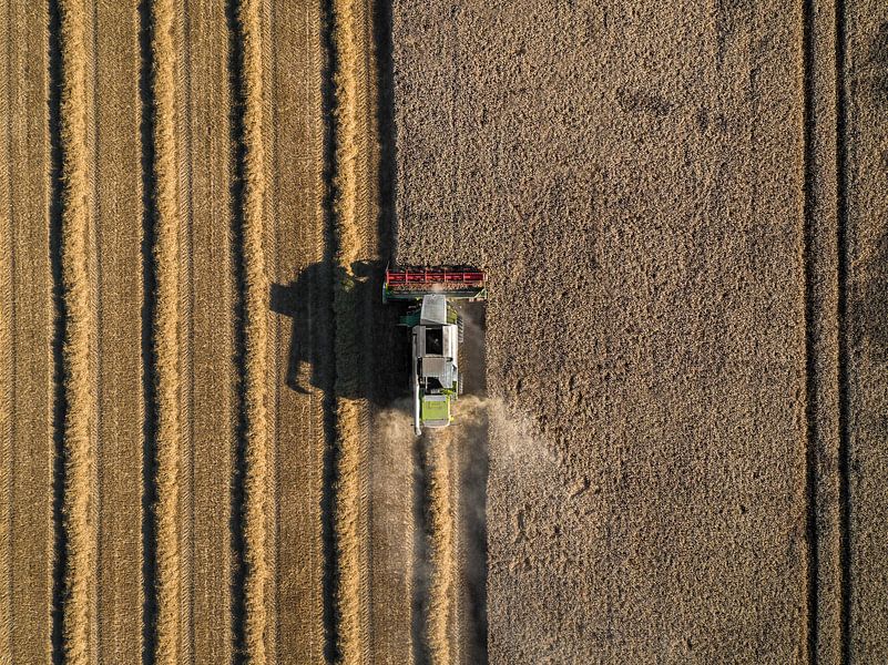 Combiner la soif en Flandre zélandaise 2 par Percy's fotografie