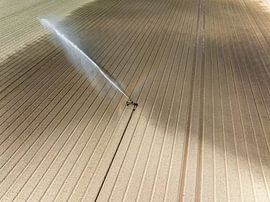 Irrigation pivot gun machine spraying water on a field by Sjoerd van der Wal Photography