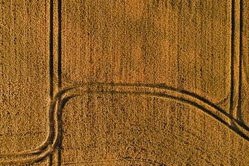 Roads in the wheat | aerial photography by Marjolijn Maljaars