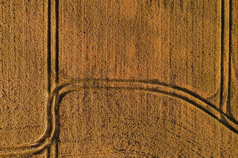 Routes dans le blé - photographie aérienne par Marjolijn Maljaars