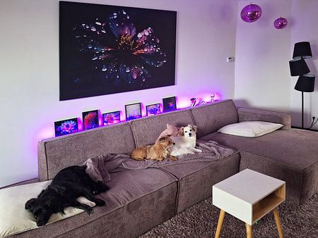 Dunkelviolette Blüte