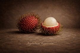 Rambutan in a Classic Still Life by Bert Quaedvlieg