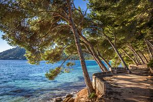 Strand Platja de Formentor, Mallorca