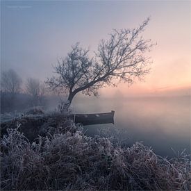 Stanislav Salamanov profielfoto
