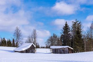 Landschaft mit Schnee im Winter in Kuusamo, Finnland