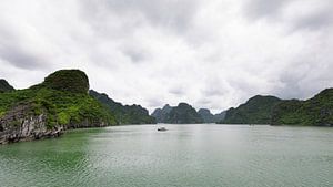 Halong Bay - Noord  Vietnam van Rick Van der Poorten