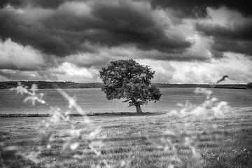 Schwarz-weiße Landschaft von Mark Bolijn