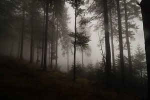 Großer Feldberg