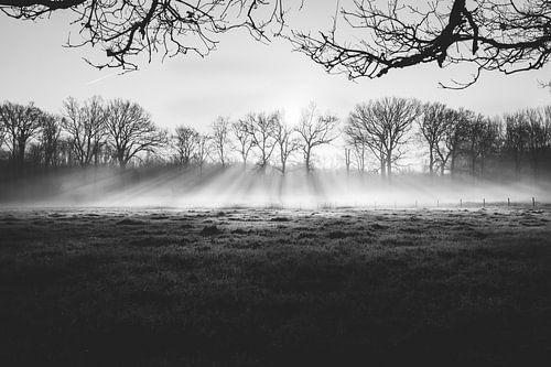 Zonnestralen zwart-wit