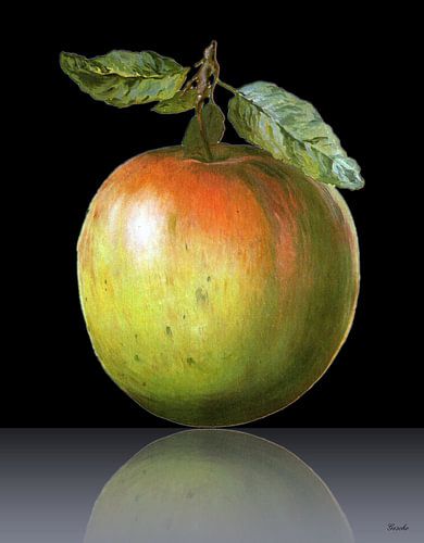 Apfel