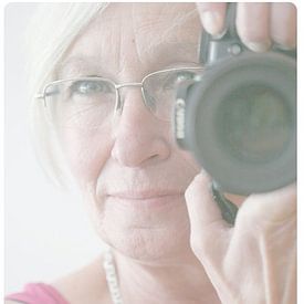 Anne Seltmann Profile picture