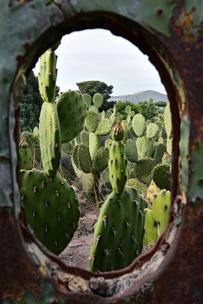 see-through by Imperial Art House