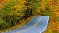 Herbstfarben in New Hampshire von Henk Meijer Photography Miniaturansicht