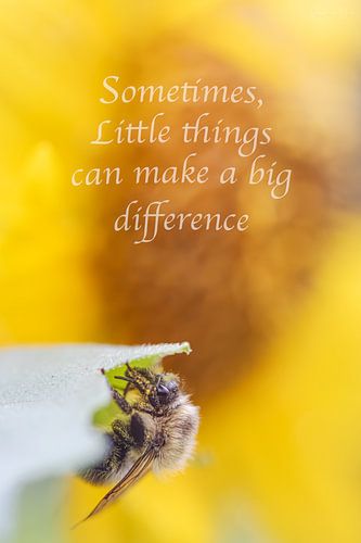 Quotes - Little things