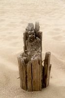 Strandpaal
