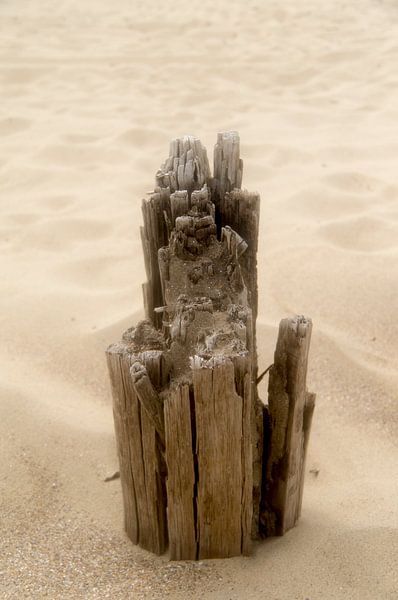 Strandpaal par Ramona Brugman