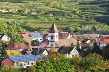 Weinort Achkarren am Kaiserstuhl,Schwarzwald,Deutschland
